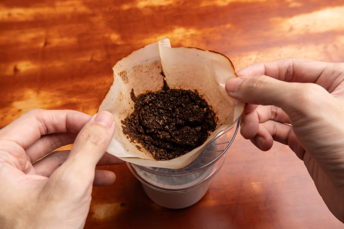 コーヒードリッパーに残った抽出後のコーヒーかす